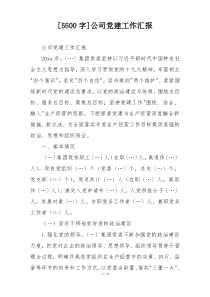 [5500字]公司党建工作汇报