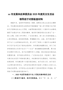 发改委2026年度民主生活会领导班子对照检查材料两篇