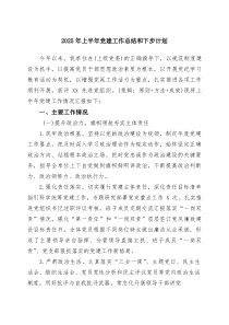 四篇2026年上半年党建工作总结和下步计划_精选