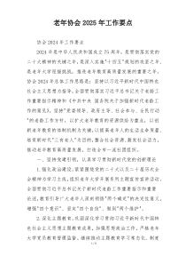 老年协会2025年工作要点