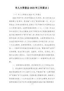 市人大常委会2025年工作要点1