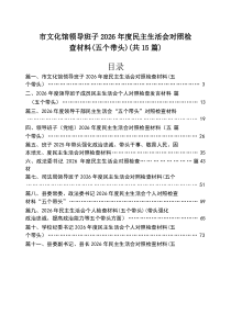 市文化馆领导班子2026年度民主生活会对照检查材料（五个带头）［15篇］