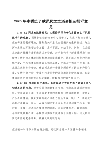 2026年市委班子成员民主生活会相互批评意见