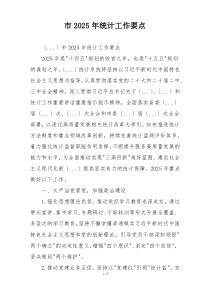 市2025年统计工作要点