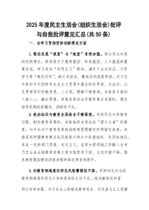 2026年度民主生活会（组织生活会）批评与自我批评意见汇总（共50条）
