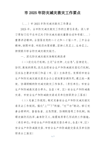 市2025年防灾减灾救灾工作要点