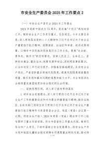 市安全生产委员会2025年工作要点2