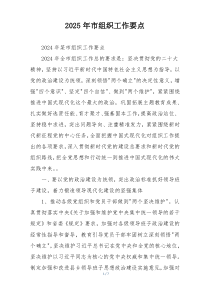 2025年市组织工作要点