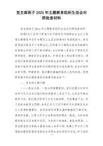 党支部班子2025年主题教育组织生活会对照检查材料