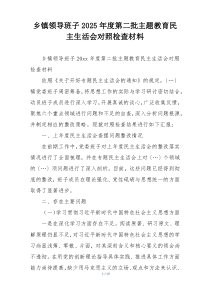 乡镇领导班子2025年度第二批主题教育民主生活会对照检查材料