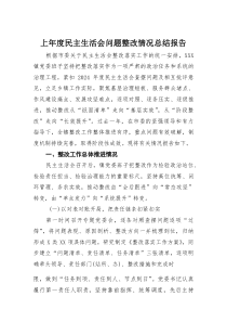 上年度民主生活会问题整改情况总结报告