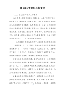 县2025年组织工作要点