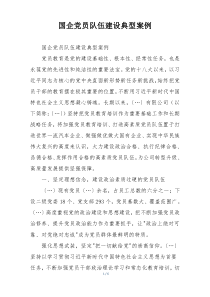 国企党员队伍建设典型案例