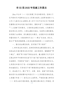 市XX局202X年党建工作要点