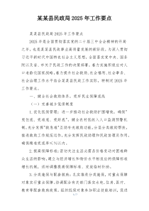 某某县民政局2025年工作要点