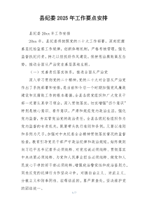 县纪委2025年工作要点安排