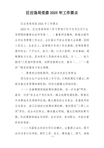 区应急局党委2025年工作要点