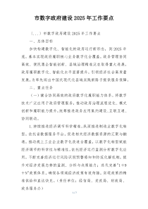 市数字政府建设2025年工作要点