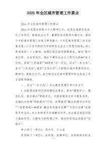 2025年全区城市管理工作要点