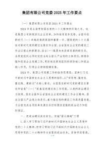 集团有限公司党委2025年工作要点