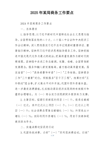2025年某局商务工作要点
