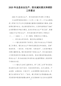 2025年全县安全生产、防灾减灾救灾和消防工作要点