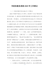 市政务服务系统2025年工作要点