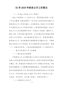 XX市2025年政务公开工作要点