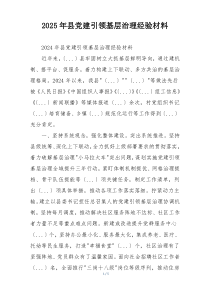 2025年县党建引领基层治理经验材料