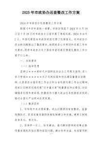 2025年市政协办巡查整改工作方案
