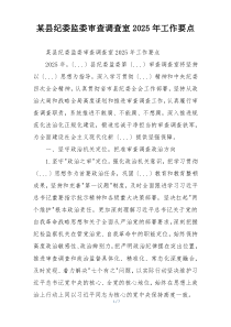 某县纪委监委审查调查室2025年工作要点
