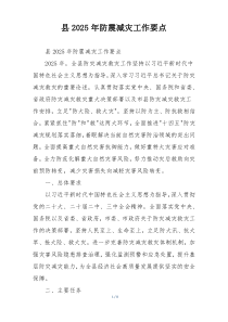 县2025年防震减灾工作要点