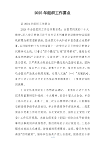 2025年组织工作要点