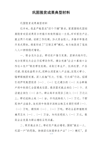 巩固脱贫成果典型材料