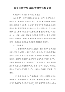 某某区审计局2025年审计工作要点