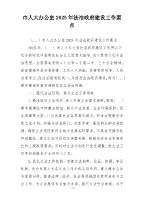 市人大办公室2025年法治政府建设工作要点