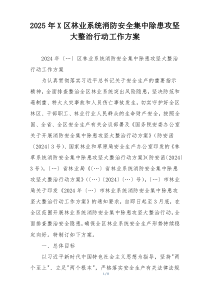 2025年X区林业系统消防安全集中除患攻坚大整治行动工作方案