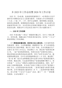 乡2026年工作总结暨2026年工作计划