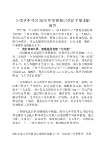 乡镇党委书记2026年度抓基层党建工作述职报告