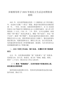 乡镇领导班子2026年度民主生活会对照检查材料