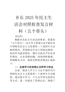 乡长2026年民主生活会对照检查发言材料（五个带头）
