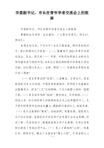 市委副书记、市长在青年学者交流会上的致辞