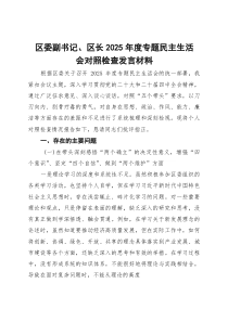 区委副书记、区长 2026 年度专题民主生活会对照检查发言材料(2)