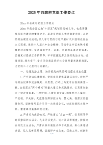 2025年县政府党组工作要点