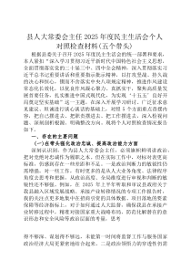 县人大常委会主任2026年度民主生活会个人对照检查材料（五个带头）
