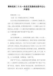 聚焦党的二十大—各县区党委政法委书记心声感悟