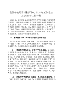 县区公安局情报指挥中心2026年工作总结及2026年工作计划