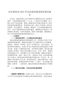 县区税务局2026年法治政府建设落实情况报告