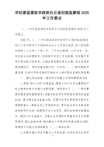 市纪委监委驻市政府办公室纪检监察组2025年工作要点