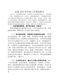 县委2026年全面工作情况报告